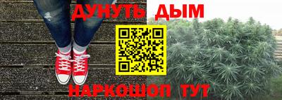 каннабис Новозыбков