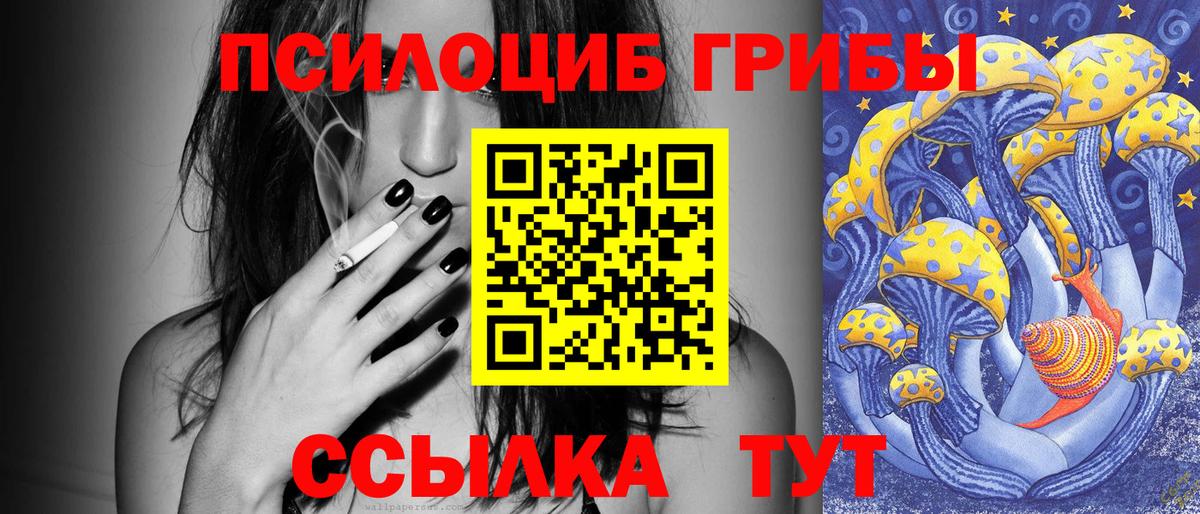Псилоцибиновые грибы Magic Shrooms Сланцы