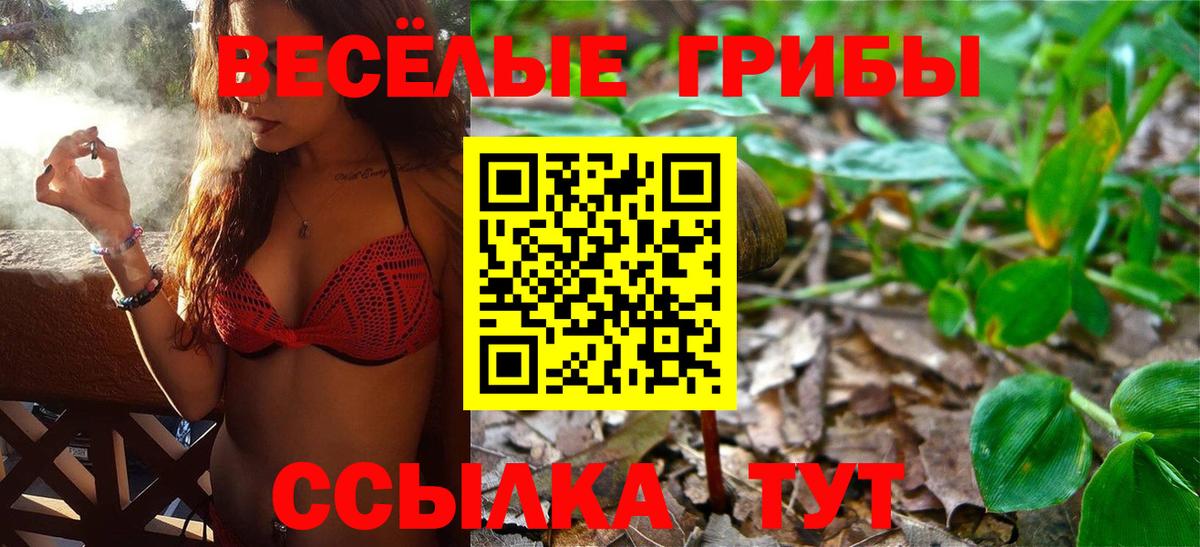 продажа наркотиков  Псилоцибиновые грибы Cubensis  Сланцы  Вход с VPN  Псилоцибиновые грибы Psilocybe 