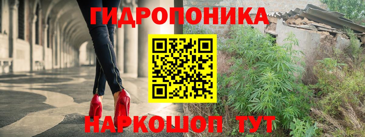 Сланцы  Шишки марихуана VHQ  Шишки марихуана Bruce Banner  Вход с VPN  Марихуана тримм 